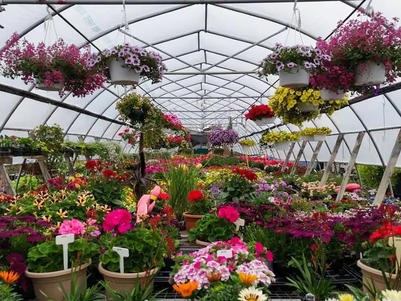 Greenhouse Business Opportunity on 7 Acres with Ocean View in St. Peter's, Ns