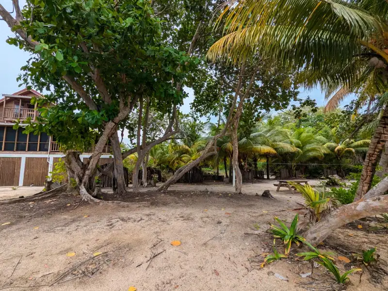 Beachfront Eco-resort Opportunity in Monkey River, Belize on 2.5 Acres with Boat Access