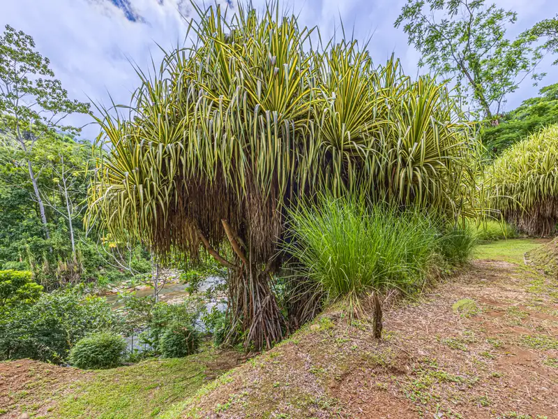 17-acre Multi-home Retreat with Yoga Pavilion and Riverfront in Uvita, Costa Rica