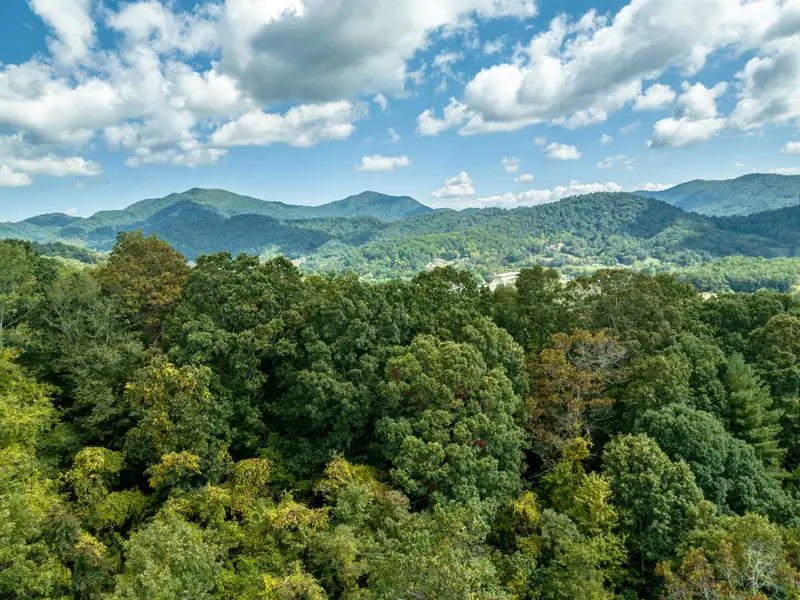 29 Acres of Land with Mountain Views Near Downtown Canton, Subdivision Potential