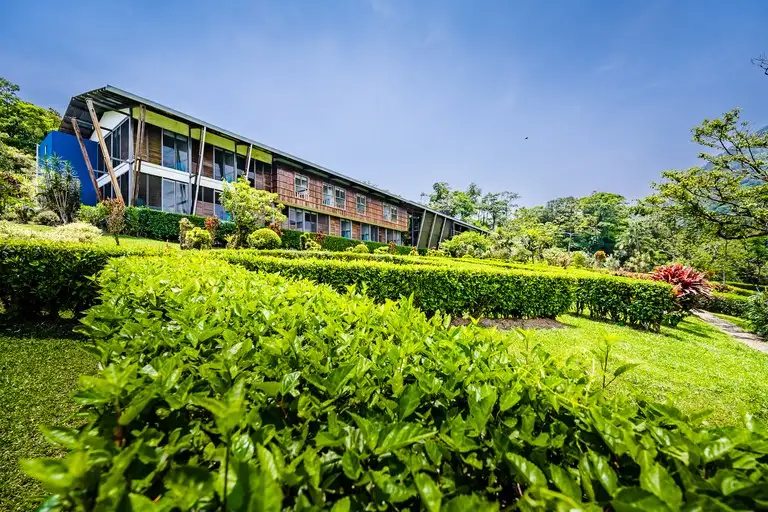 Celeste Mountain Lodge: 17-acre Eco-lodge with Rainforest Reserve in Costa Rica