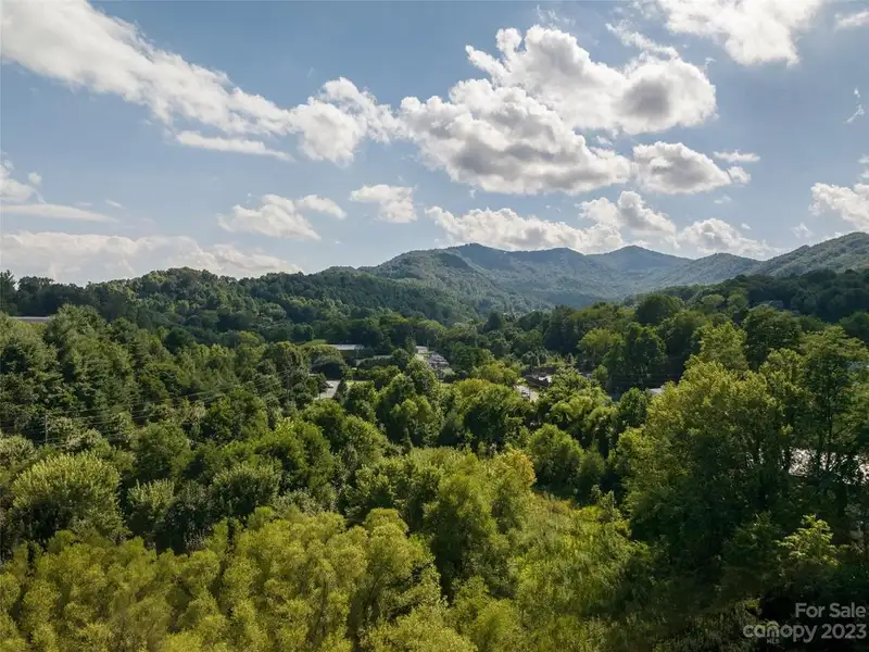 10.50+ Acre Unimproved Commercial Property in Dellwood/junaluska Regional Center