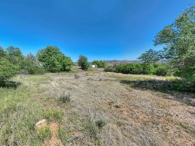 Two Commercial Properties in Durango: 5.62 Acres with Income Potential