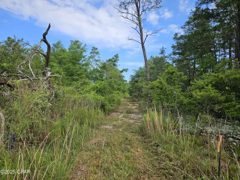 15.75 Acres of Commercial and Residential Land Near Bay County Line on Highway 77