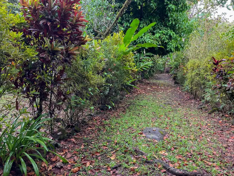One-bedroom Home with Expansion Potential in Central Ojochal, Costa Rica