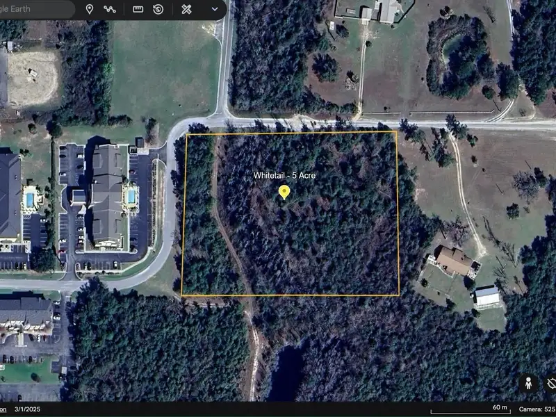 5-acre Corner Parcel for Low-impact Development in Natural Wooded Setting