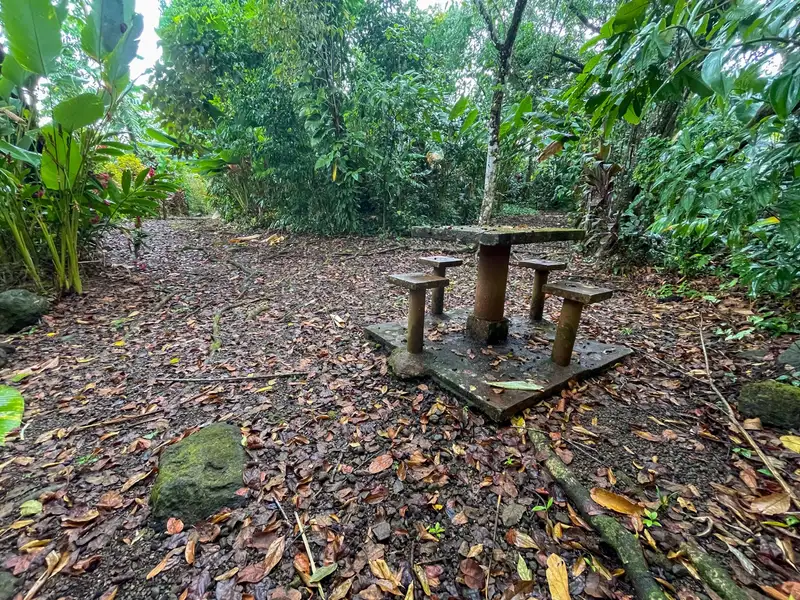 One-bedroom Home with Expansion Potential in Central Ojochal, Costa Rica