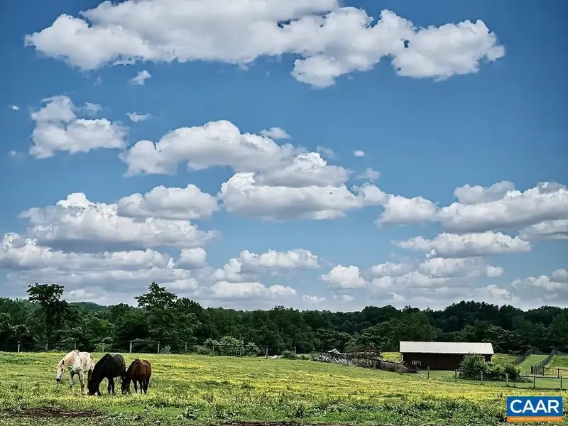 115-acre Horse Farm with Gated Entry and Prime Us 29 Road Frontage
