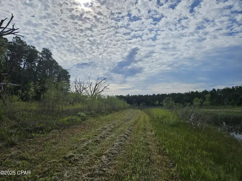 15.75 Acres of Commercial and Residential Land Near Bay County Line on Highway 77