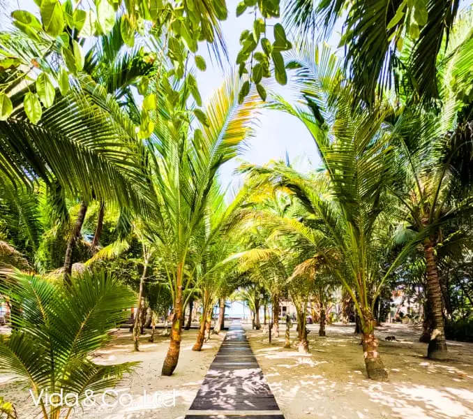 Luxury Condominiums with Caribbean Views in Placencia, Belize