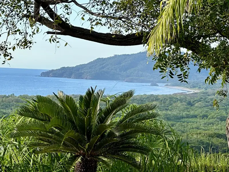 Tropical Oasis with 4 Homes and Ocean Views Minutes from Tamarindo Beach