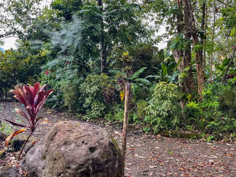 One-bedroom Home with Expansion Potential in Central Ojochal, Costa Rica