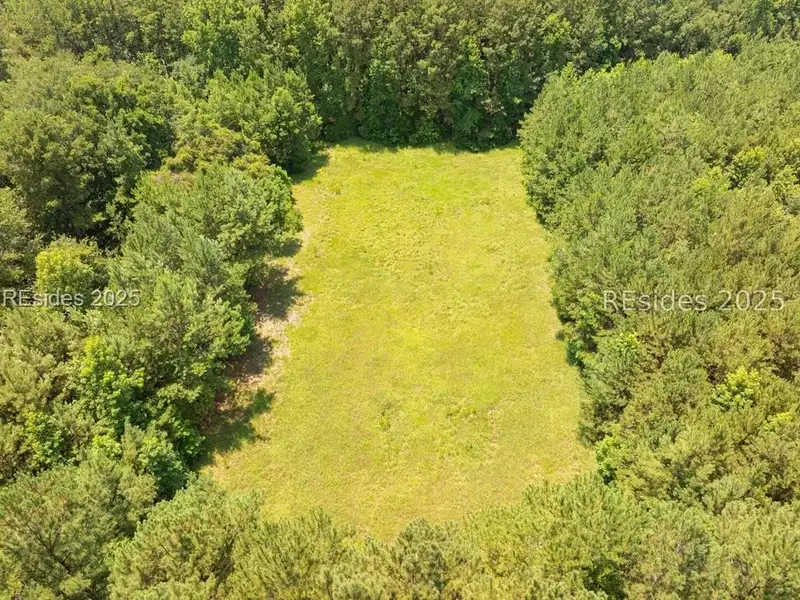30-acre Wooded Land for Sale in Ridgeland, Sc Near I-95 Exit 21