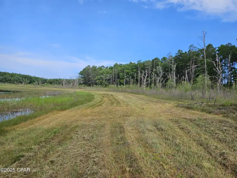 15.75 Acres of Commercial and Residential Land Near Bay County Line on Highway 77