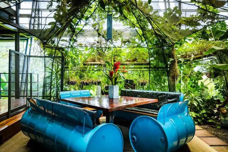 Celeste Mountain Lodge: 17-acre Eco-lodge with Rainforest Reserve in Costa Rica