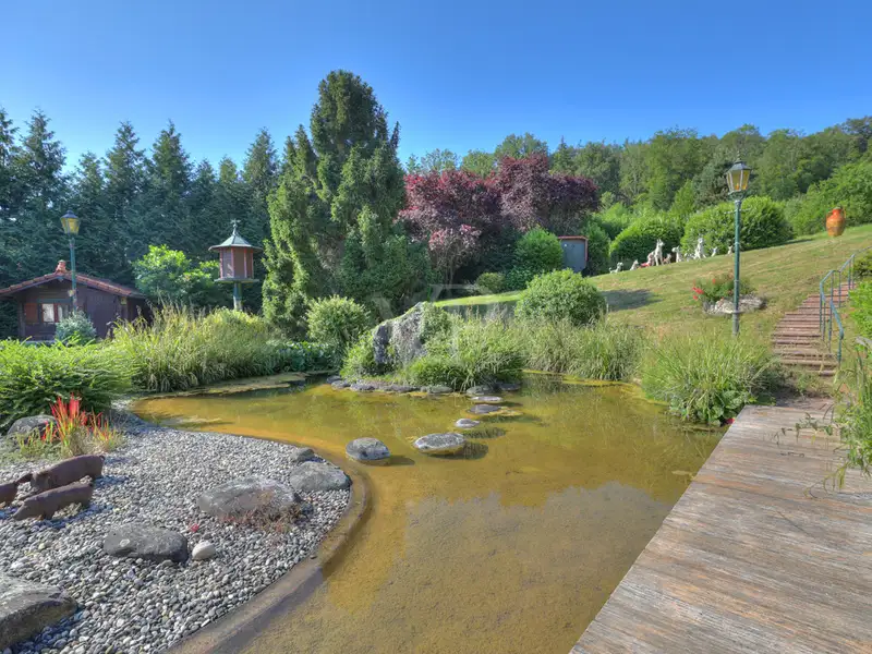 Spacious 34,000 M² Stud Farm Property with Main House, Pool, and Guest Accommodations