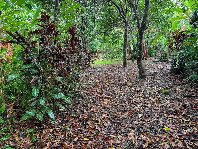 One-bedroom Home with Expansion Potential in Central Ojochal, Costa Rica