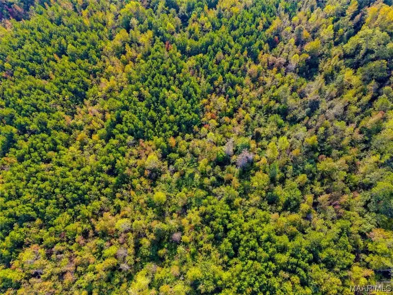 35 +/- Acres of Prime Commercial Land Near I-65 Exit 212, Clanton, Al