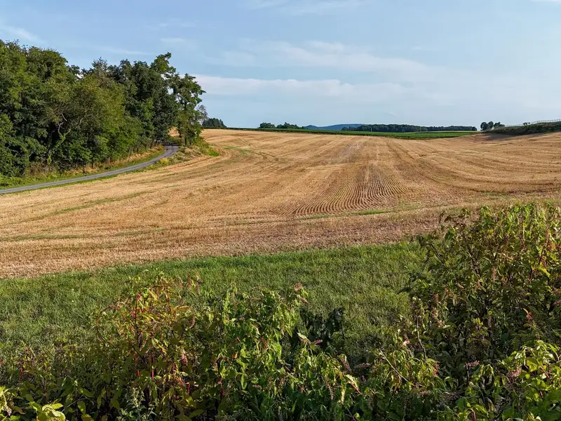 Established Meat Market and Processing Facility on 7 Acres Near Raystown Lake