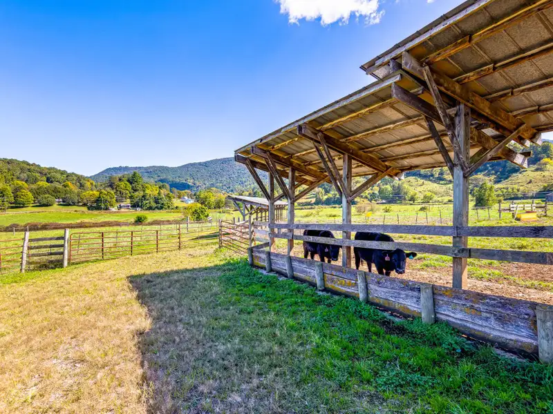 Residential Development Opportunity in Raccoon Creek Neighborhood, Waynesville, Nc