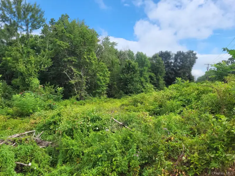Commercial Land Opportunity on State Route 208 in Wallkill - 1.2 Acres, Hwg Zoning