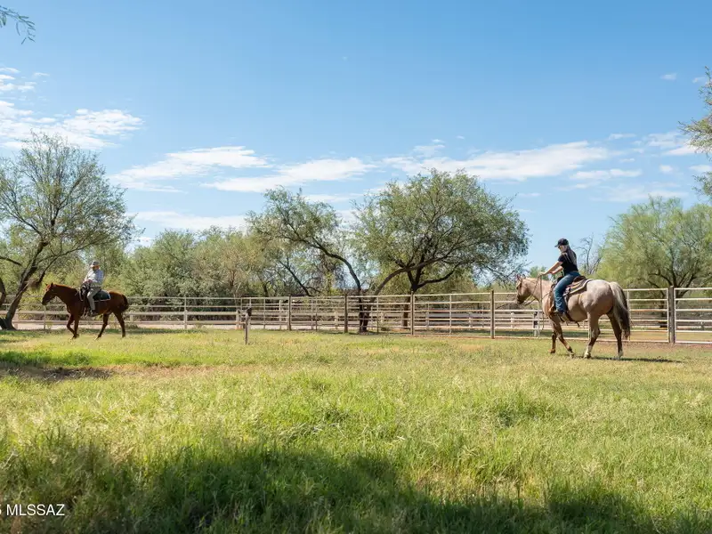 Equestrian Property on 18 Acres with Barns, Stalls, and Manufactured Homes