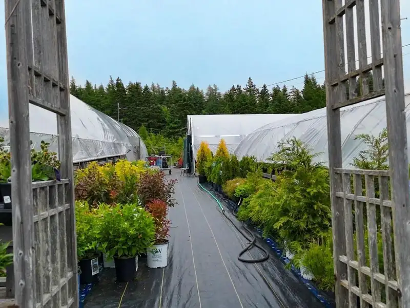 Greenhouse Business Opportunity on 7 Acres with Ocean View in St. Peter's, Ns