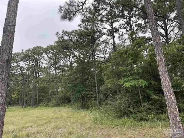 Prime Commercial Lot on Hwy 87 in Navarre, High Visibility Near Major Intersections