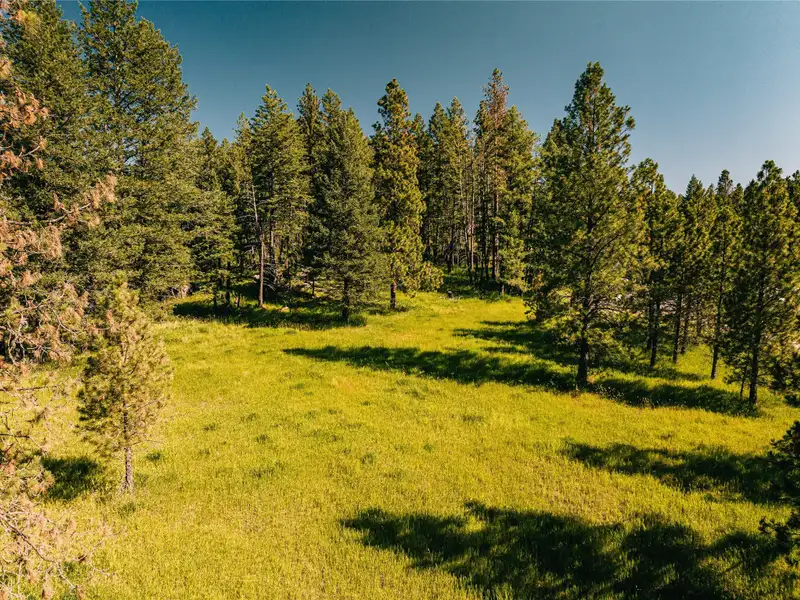 3.59-acre B-2 Zoned Land in Prime Bigfork Location with Marketable Timber