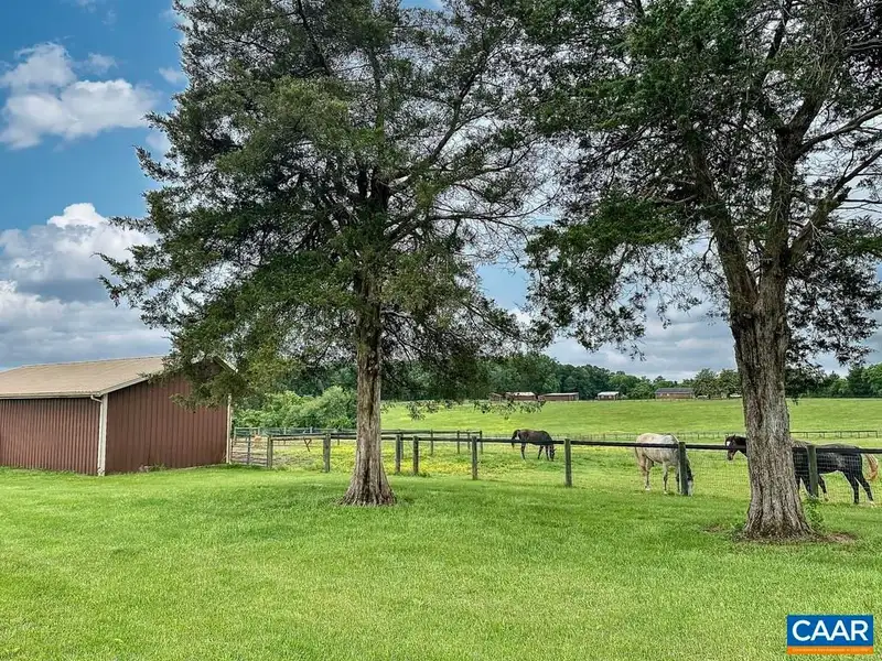 115-acre Horse Farm with Gated Entry and Prime Us 29 Road Frontage