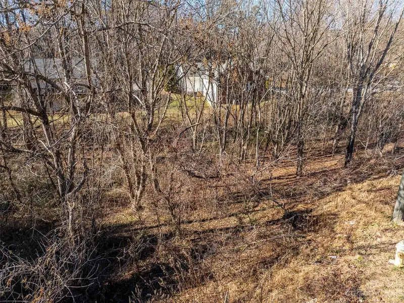 Undeveloped Road Frontage on New Leicester Hwy - 295' Opportunity