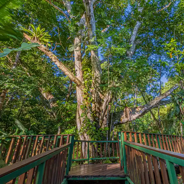 UVITA, JUNGLE RETREAT CENTER ON THE UVITA RIVER. PRIVATE AND 17 ACRES
