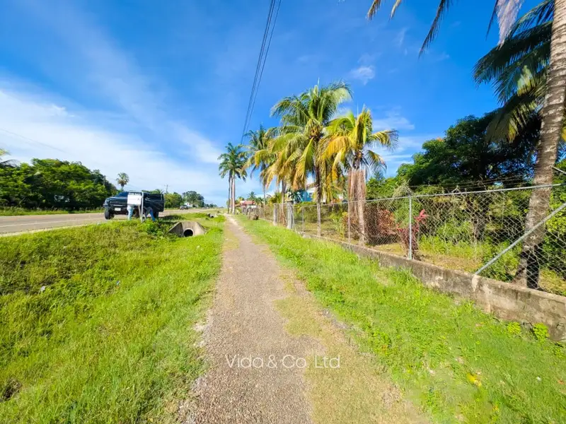 1-acre Lot for Sale in Camalote, Belmopan with Highway Frontage and Fenced Boundaries