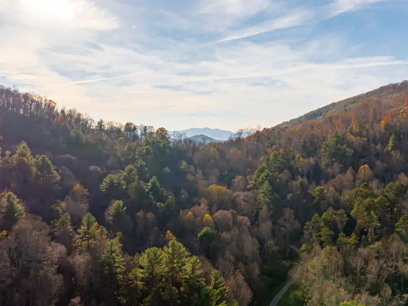 Unique 268-acre Asheville Property with Mountain Views, Homestead, and Horse Facilities