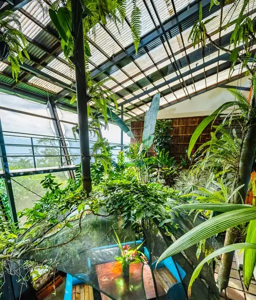 Celeste Mountain Lodge: 17-acre Eco-lodge with Rainforest Reserve in Costa Rica