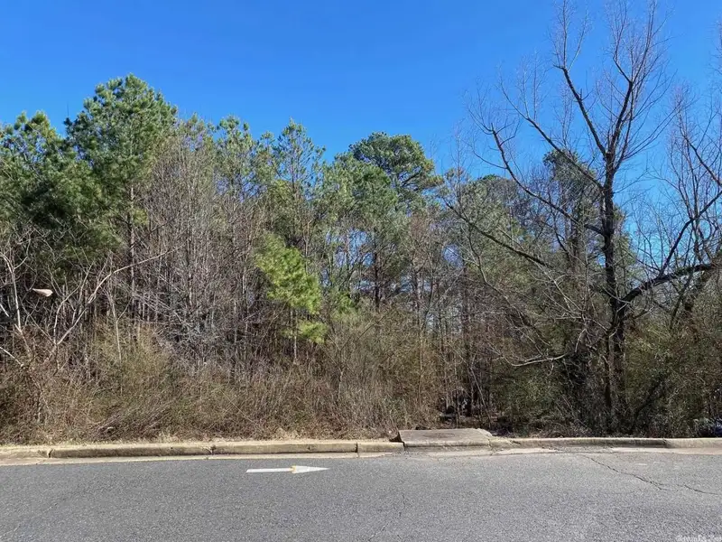 2-acre Commercial Lot with Right of Way Easement in High Traffic Area