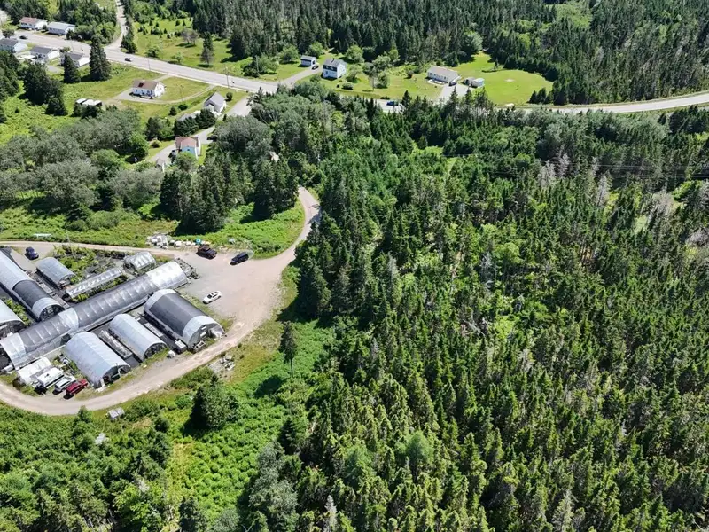 Greenhouse Business Opportunity on 7 Acres with Ocean View in St. Peter's, Ns