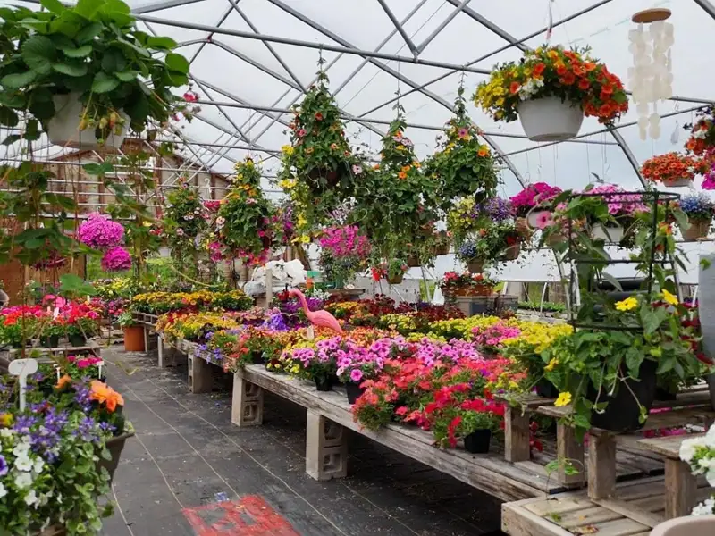 Greenhouse Business Opportunity on 7 Acres with Ocean View in St. Peter's, Ns
