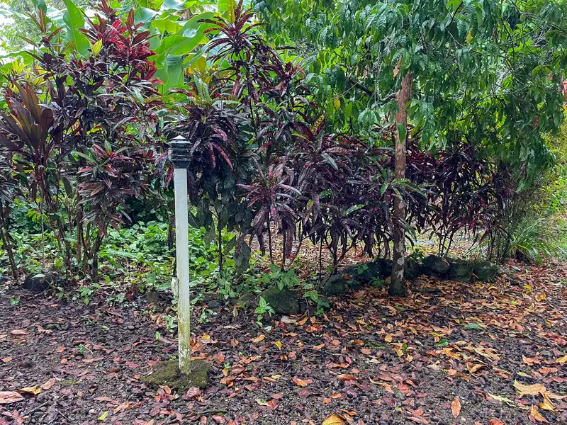 One-bedroom Home with Expansion Potential in Central Ojochal, Costa Rica