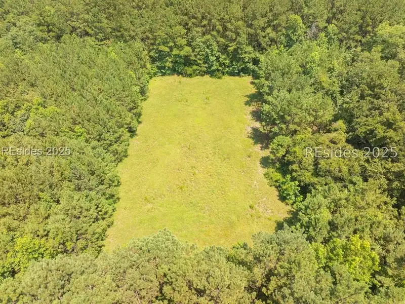 30-acre Wooded Land for Sale in Ridgeland, Sc Near I-95 Exit 21
