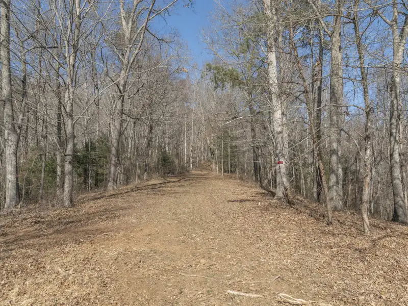 29 Acres of Land with Mountain Views Near Downtown Canton, Subdivision Potential
