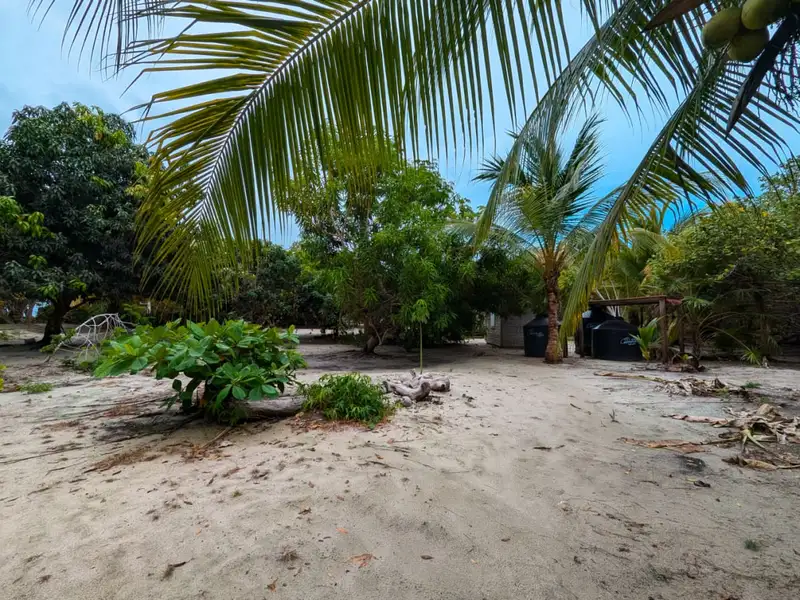 Beachfront Eco-resort Opportunity in Monkey River, Belize on 2.5 Acres with Boat Access