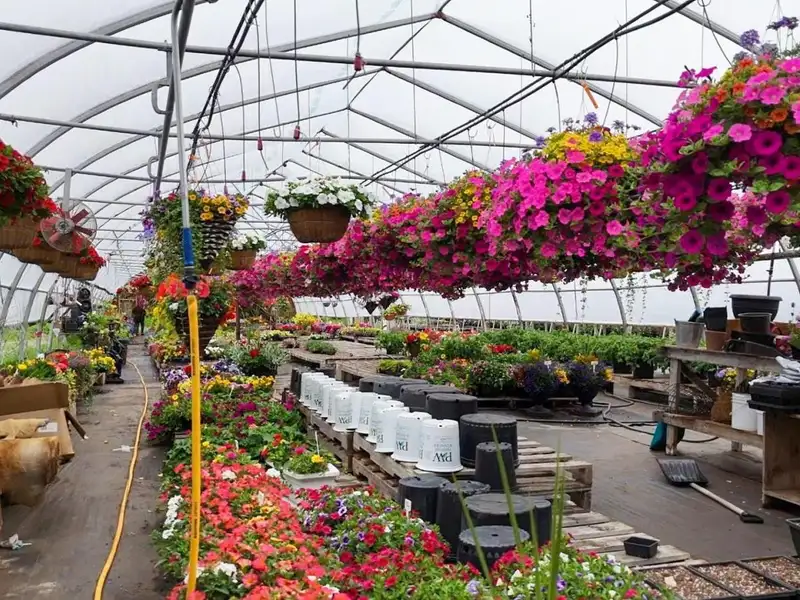 Greenhouse Business Opportunity on 7 Acres with Ocean View in St. Peter's, Ns