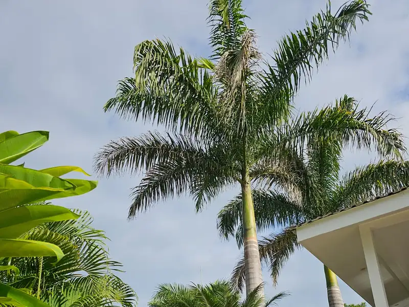 Seahorse Bed and Breakfast - Serene Retreat in La Josephina Valley, Near Tamarindo