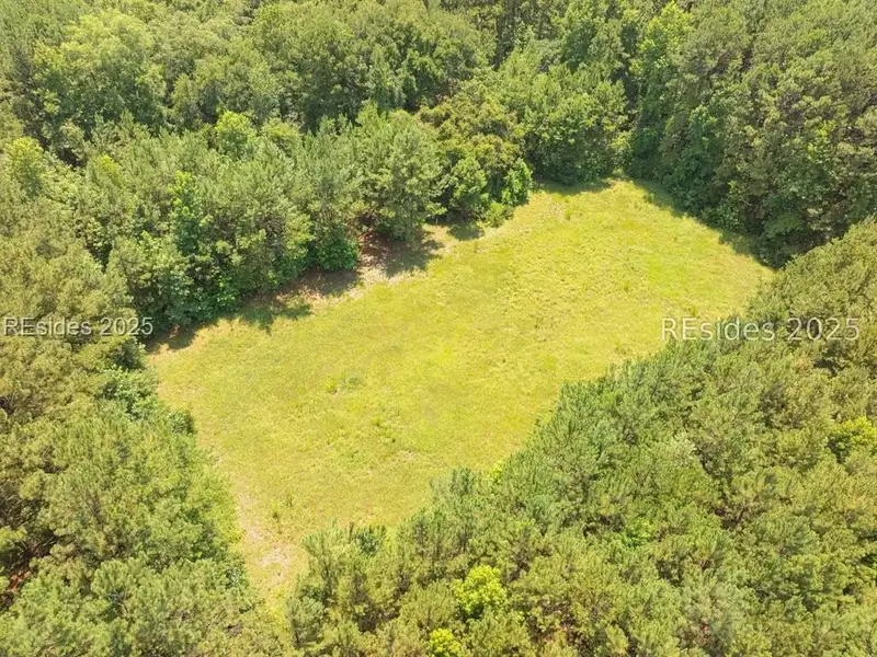 30-acre Wooded Land for Sale in Ridgeland, Sc Near I-95 Exit 21