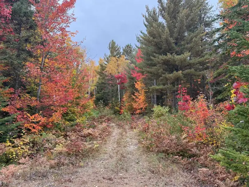 Private Domain in Saint-côme: Two Wooded Lots with Subdivision Potential