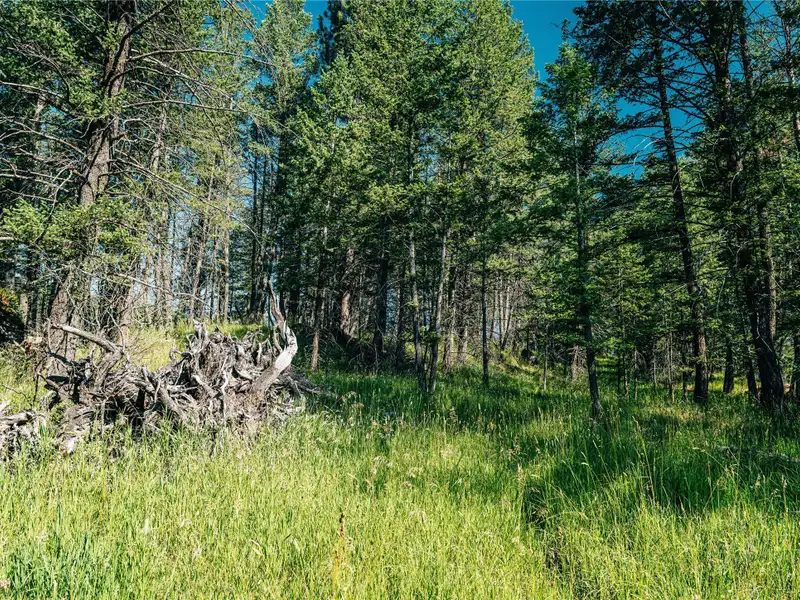 3.59-acre B-2 Zoned Land in Prime Bigfork Location with Marketable Timber