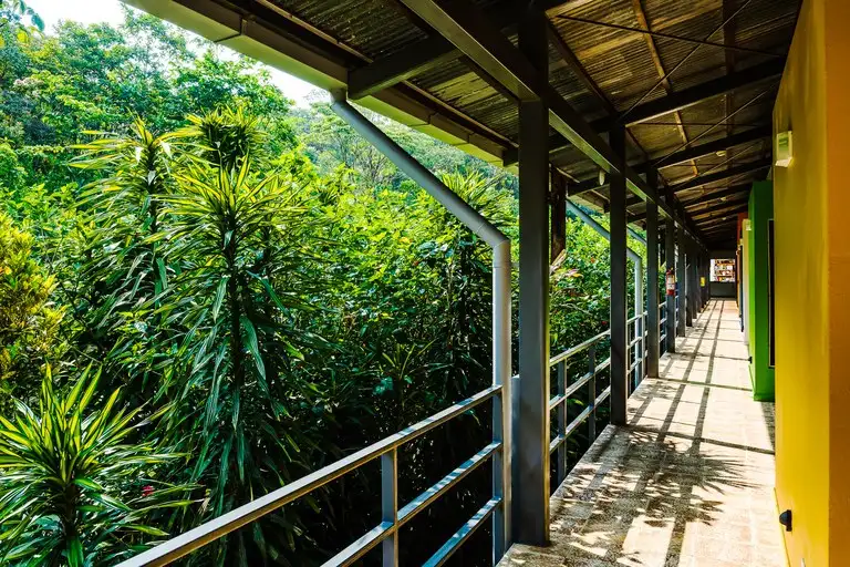 Celeste Mountain Lodge: 17-acre Eco-lodge with Rainforest Reserve in Costa Rica