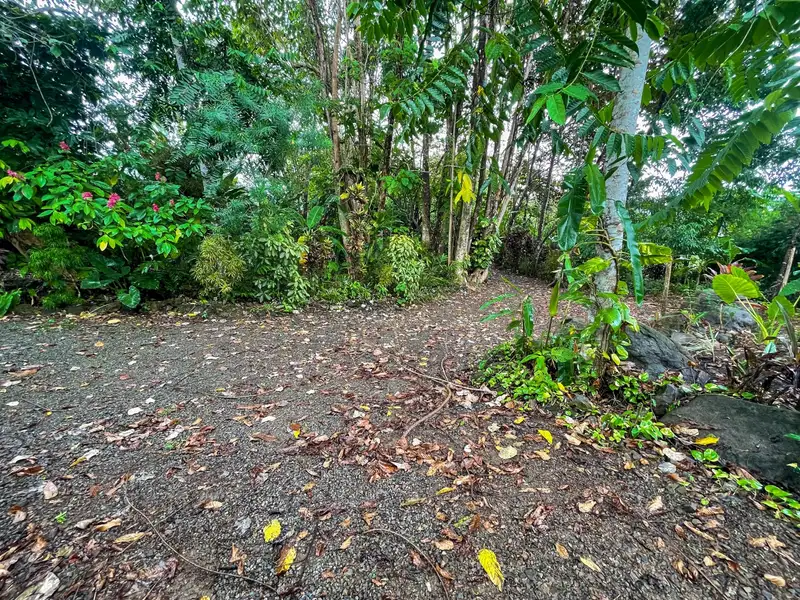One-bedroom Home with Expansion Potential in Central Ojochal, Costa Rica