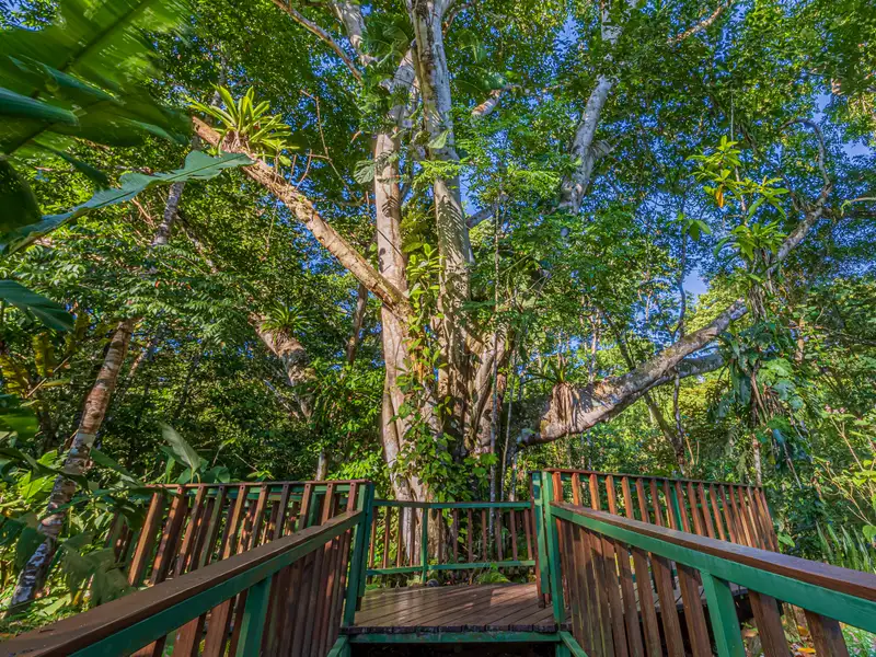 17-acre Multi-home Retreat with Yoga Pavilion and Riverfront in Uvita, Costa Rica